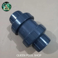 Check Valve 2 inch Astral - Check Valve Kolam Renang Ukuran Pipa 2 in