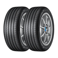 【GOODYEAR 固特異】EFFICIENTGRIP PERFORMANCE 2 EGP2 濕地操控輪胎_二入組_215/55/17(車麗屋)