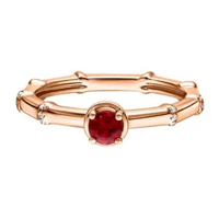 Passion Jewelry - Diamond Ladies Ring Bamboo CWF3391