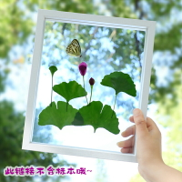 金屬相框 玻璃相框 證書框 植物標本相框剪紙畫框裱框雙面透明玻璃樹葉標本框擺台壓花展示框『YS2000』