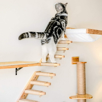 多層多顏色帶麻繩貓爬架 壁掛式一體貓跳颱跳闆爬梯