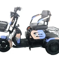 2023 48V Hot Sale New Energy 3 Wheel Adult Passenger Dual Remote Control Taxi Electric Tricycles For Turkey Market