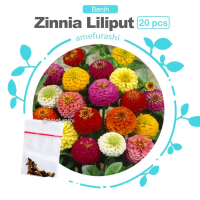 Amefurashi 100 Benih/bibit/seed Grosir/Ecer Tanaman Hias Bunga Zinnia Liliput Mix