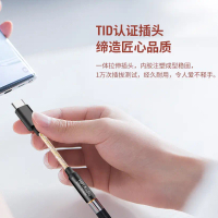 2025 Source Factory Compatible Type-C Audio Adapter Cable CX31993 HD Digital Decoding Single Crystal
