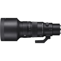 【Sigma】500mm F5.6 DG DN OS Sports for L-MOUNT 接環(公司貨 全片幅微單眼鏡頭 飛羽攝影)