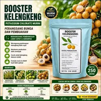 Pupuk Booster Kelengkeng KClO3 Murni. 250 Gram