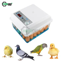 20 Eggs Household Incubator Small Plastic Bionic Water Bed Incubator Automatic Temperature Control Egg Incubator