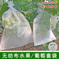 水果套袋防鳥通用袋瓜果防蟲專用袋無花果枇杷葡萄桃子苦瓜網眼袋