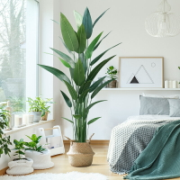仿真植物美人蕉北歐ins風綠植大型盆栽擺件客廳室內落地裝飾盆景