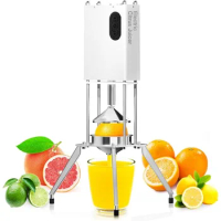 Electric Citrus Juicer, Electric Orange , Professional Orange, Commercial Fruit Juicer