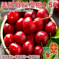 切果季-美國櫻桃9.5R櫻桃_2kg禮盒