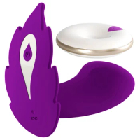 New Rechargeable Silicone Vibrating Panties 10 Speed Waterproof Wireless Remote Control Vibrator Sex Toys for Women Sex Products