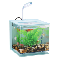 桌面迷你炫彩背濾生態魚缸 辦公家用造景（由於顏色眾多，客戶可聯繫客服挑選顏色）