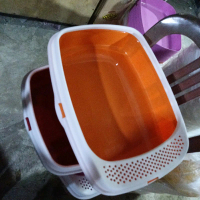 bak pasir kucing