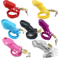 Plastic Chastity cage Male Chastity Device Cock Cage With 5 Size Rings Brass Lock Locking Number Tags Sex Toys CB6000 CB6000S