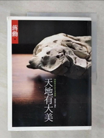 【書寶二手書T1／藝術_E39】天地有大美_蔣勳