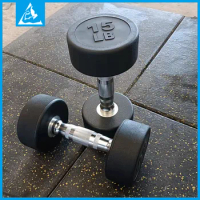 20kg Round Head Dumbbell Men's Home Fitness Exercise Arm Muscle Multi-functional Pure Steel Material Portable Dumbbell