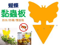 @貨比三家不吃虧@蝴蝶黏蟲板 雙面厚款黏蟲板 粘蟲紙 雙面黏 黃色黏蟲紙 果蠅 有機黏蟲板 蚊蟲剋星 園藝 果蠅黏蟲板