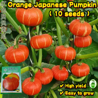 High Yield Orange Japanese Pumpkin Seeds (10pcs/pack) F1 Hybrid Sweet Glutinous Pumpkin Seeds for Pl