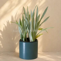 POT TANAMAN TERAKOTA PREMIUM D25T25 SILINDER Putih teraso