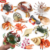 Oenux Ocean Animals Simulation Hermit Crab Nautiloidea Octopus Sea Life Model Figurines Action Figures Collection Kids Toy Gift