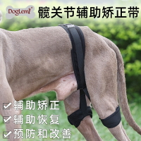 寵物狗狗髖關節輔助帶寵物後腿關節恢復輔助帶護具