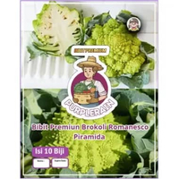 Bibit Premium Brokoli Romanesco| Brokoli Pedas |Benih Brokoli Romanesco | Broccoli Piramida