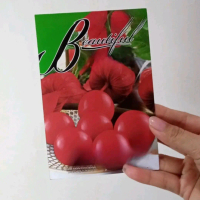 BENIH CIPLUKAN merah dan kuning jumbo