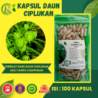 Kapsul Daun Ciplukan Asli RR Herbal Store Kaya akan Antioksidan