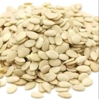 (250gm)Melon Seed / White Melon / Kernel Mooncake Florentine Siebin Bienetta Cookies