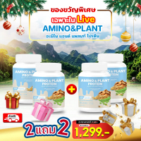 Live 4: Amino & Plant Protein โปรตีนจากพืช 5 ชนิด