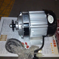 Fast Shipping 36V 350W Brushless Electric Motor Unite Motor Scooter Bike Electric Tricycle Motor 3 Wheels Bike Motor