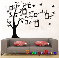 壁貼【橘果設計】照片樹 DIY組合壁貼 牆貼 壁紙 壁貼 室內設計 裝潢 壁貼
