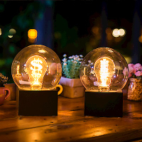 法國三寶貝  黑色遙控LED燈泡造型夜燈 兩型 錢幣鎢絲