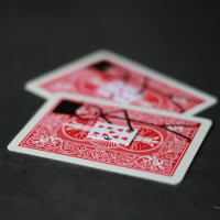 Card-Teran by Patricio Teran - Magic Trick, close-up / TV show / professional magic product / wholesale / amazing