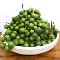 100 BUTIR BENIH BIJI LEUNCA