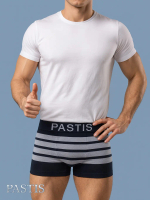 PASTIS Celana Dalam Pria 3pc Nylon Rajut Seamless 2009