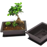 bonsai planter garden flowerpot