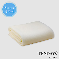 TENDAYS 立體蜂巢透氣網 大單嬰兒床墊用