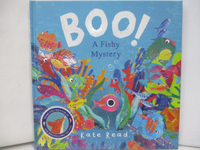 【書寶二手書T1／少年童書_R3P】Boo! (精裝本)_Kate Read
