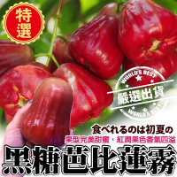 【果農植配】台灣特選黑糖芭比蓮霧2kg禮盒ｘ2盒(每盒8-12入)