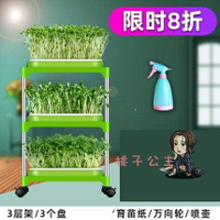 【八折】豆芽發芽盆 芽苗菜育苗托盤無土栽培水培蔬菜設備豆苗種植芽菜小麥T