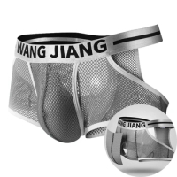 Sexy Men Mesh Hole Underwear Man Boxers Short Underpants Plus Size Transparent Panties