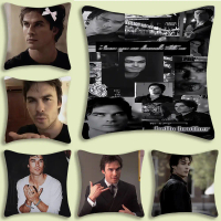 Damon Salvatore The Vampire Diaries  Smooth Pillow Cover  Non-Fleece Lightweight Polyester Pillowcas
