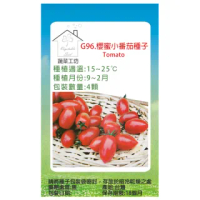 【蔬菜工坊】G96.櫻蜜小番茄種子4顆(皮薄.果串長美.糖度高.糖酸比適當)