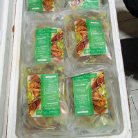 Bebek Ungkep  Frozen praktis siap goreng
