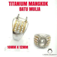 CANGKANG EMBAN TITANIUM BATU KECIL