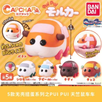 JAPAN Wandai Pui Pui Guinea Pigs Car Capsule Blind Box Ornaments mystery box 18+ 14+y