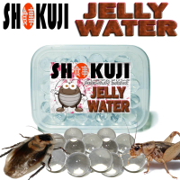 JELLY WATER MINUMAN JANGKRIK KECOA DUBIA ULAT HONGKONG JERMAN PAKAN REPTILE GECKO BD BEARDED DRAGON 