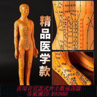 穴位模型 【30天熱銷540件】人體針灸模型經絡穴位中醫全身十二銅人模特圖小人扎針練習小皮人